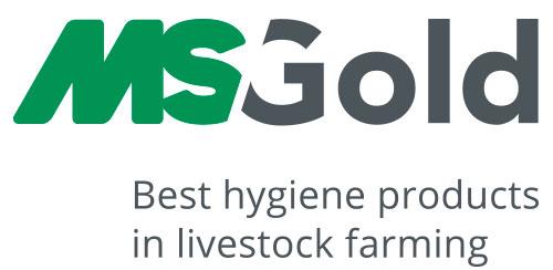ms-gold-logo